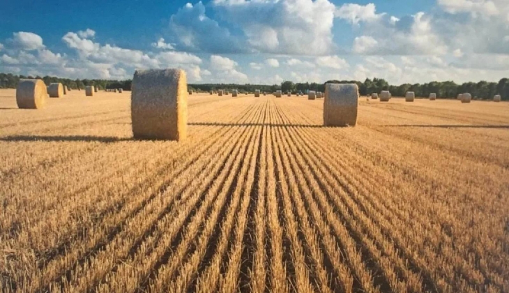 Sudan’da kiralanan bir karış tarım arazisi yok...