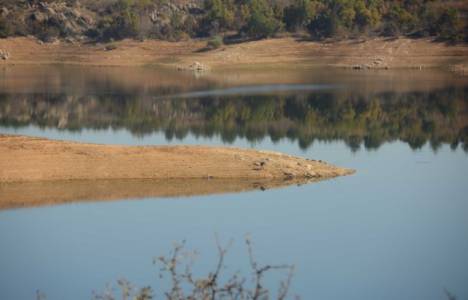Yağışlar Trakya'daki barajlara yaradı!