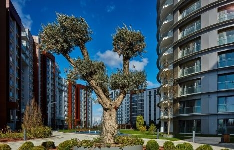 Tema İstanbul Atakent ev fiyatları 2017!