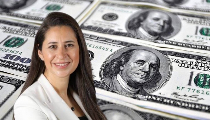 Dolar yatırımcısını şaşkına çeviren dolar tahmini! Para piyasaları uzmanı Şirin Sarı açıkladı! 25 TL olacak!