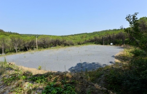 Park Orman Tabiat Parkı için yeniden düğmeye basıldı!