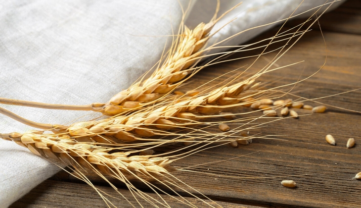 TMO buğday alım fiyatını ne kadar yapacak? Çiftçiler 10 bin 500 TL diyor! Buğday alım fiyatı ne zaman açıklanacak?