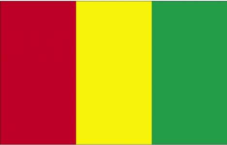 Gineliler Türkiye'den ev alabilir mi?