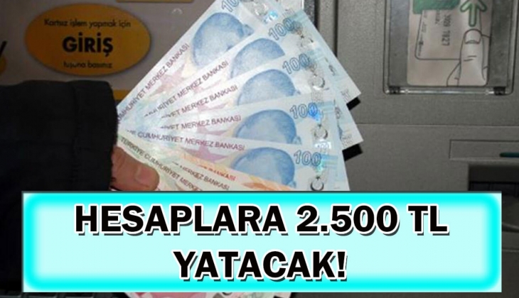 Çok az kişinin bildiği bu ödemeleri sakın kaçırmayın! Devlet 2.500 TL verecek! Kimse başvurmadan hemen siz başvurun!