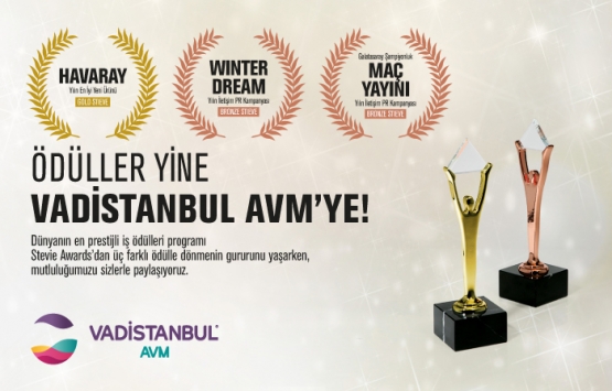 Vadistanbul a Stevie Awards ten üç ödül!