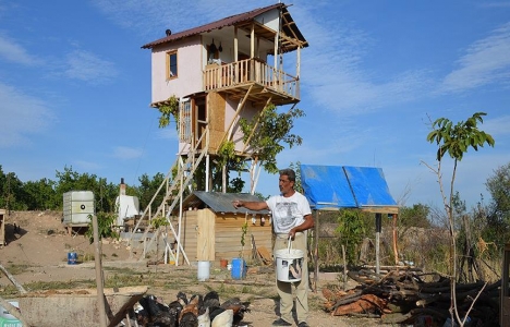 Malatyalı Ahmet Seheryıldızı, ceviz ağacına dubleks ev yaptı!