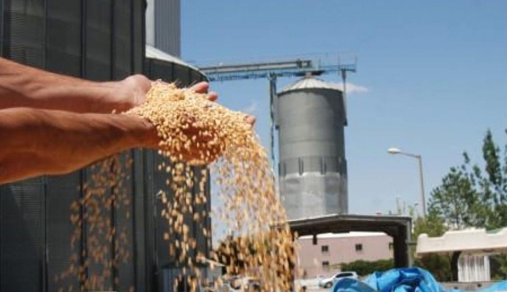 TMO'dan krizi bitirecek adım! Tam 48 bin ton aldı