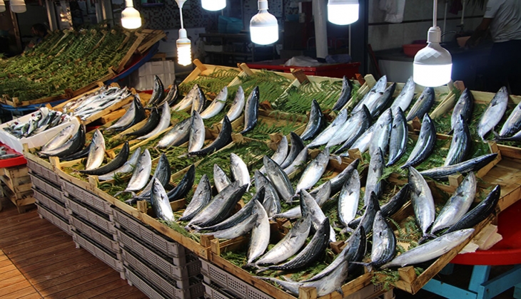 Bandırma Balık Hali nde eylül ayı palamut bolluğuyla geçti! İşte, 1 Ekim 2022 fiyat listesi..