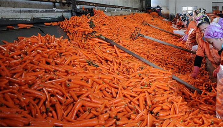 1 kilo havuç 50 TL oldu! Dernek başkanı: Bugünlerde bence yemeyelim, biz de yemiyoruz!