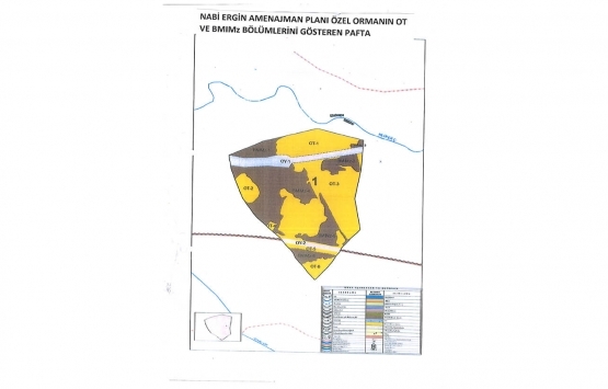 Bursa Nabi Ergin Özel Ormanı na inşaat yapılamayacak!