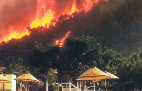 Antalya Kumluca'da 120 hektar alan küle döndü!