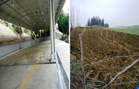 Kocaeli'de Organik Ürünler Pazarı kurulacak!