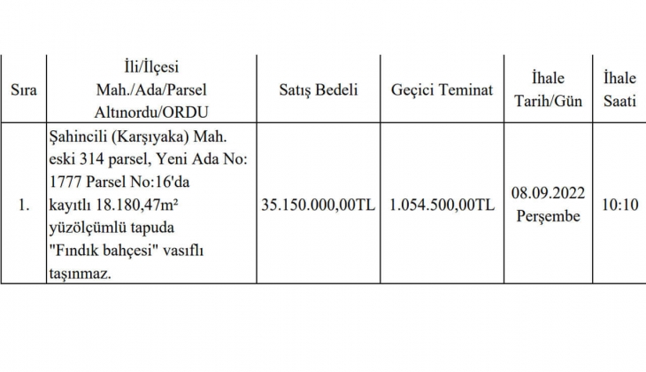 Ordu da gayrimenkul satılıyor! 18 bin 180 metrekarelik fındık bahçesinin fiyatı şaşırttı!