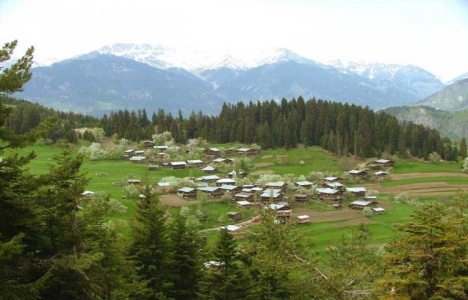 Artvin Şavşat dünyanın en sakin şehri oldu!