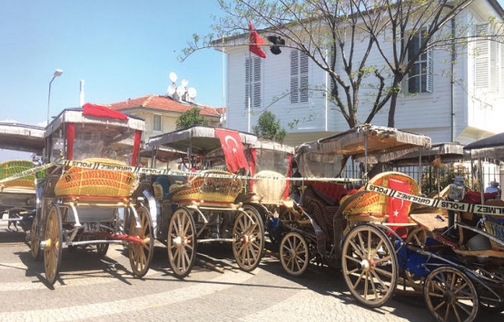 Büyükada’da fayton çetesi davası! Ada ada kondular!
