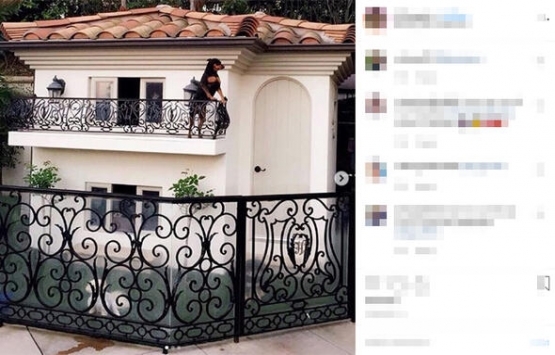 Paris Hilton un köpekleri de havuzlu malikanede yaşıyor!