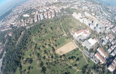 Validebağ'daki dere inşaatlar yüzünden kirleniyor! 