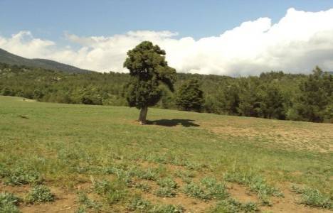 Bayındırlık yapı birim fiyatları 2014!