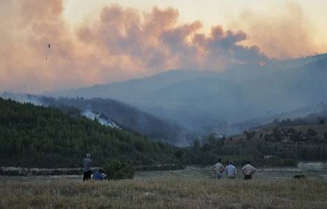 Osmaniye'de yangın kontrol altına alınamıyor!