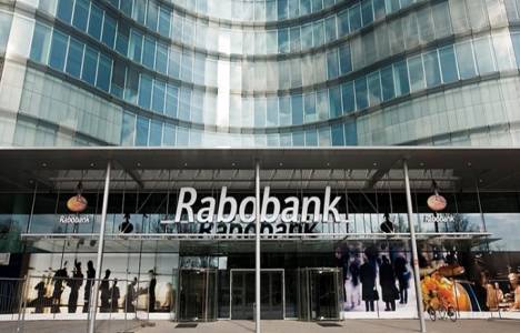 BDDK'dan Rabobank'a faaliyet izni!