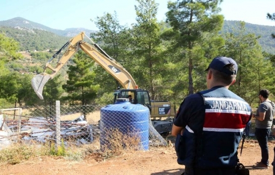 Buca da İmar barışı fırsatçıları ormanlık araziyi satılığa çıkardı!
