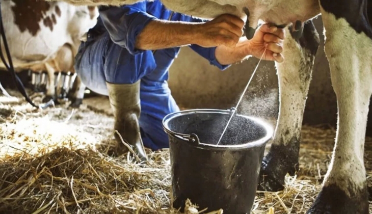 Üretici 'zarar ediyorum' diyordu! Ulusal Süt Konseyi belgeyi yayınladı