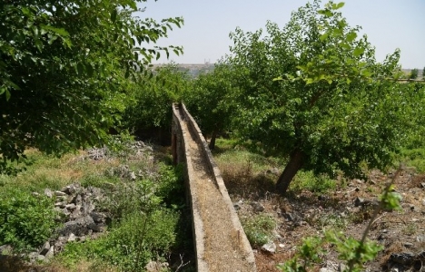 Diyarbakır Hevsel Bahçeleri’ndeki tarihi değirmenler restore edilecek!