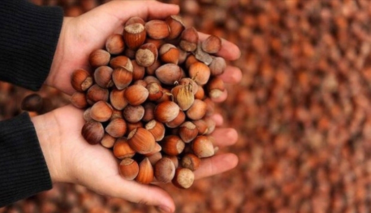 TMO 150 bin ton alım gerçekleştirdi!