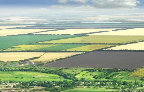 Miras kalan arsaların intikali için son günler!