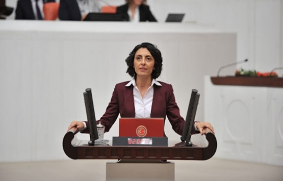 Nilüfer'deki deri sanayi ve Teknosab alanının genişletileceği iddiası mecliste!