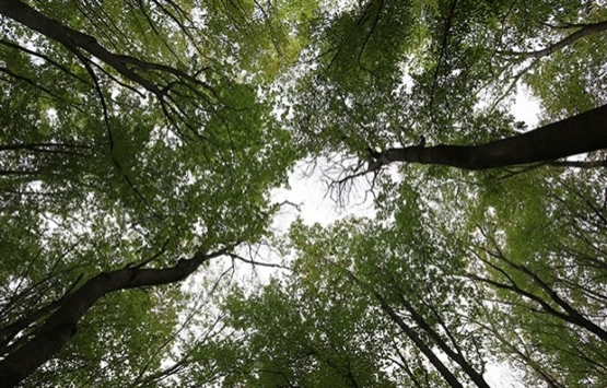 TOKİ Bakırköy'deki askeri araziyi 232 milyon TL’ye satıyor!