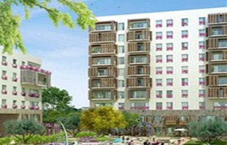 Eviya Gayrimenkul Ege Boyu daire