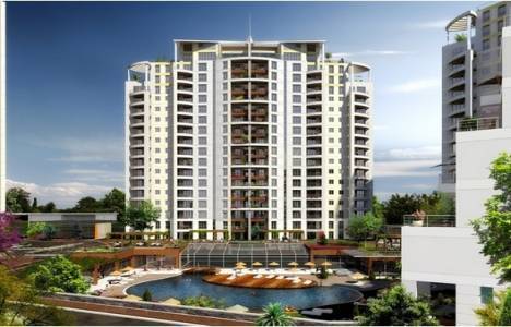 Maltepe Nuvo Dragos fiyat listesi!