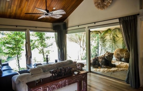 Avusturalya Jamala Wildlife Oteli, hayvanat bahçesinin içinde açıldı!