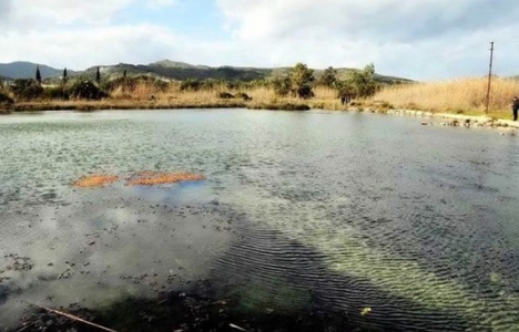 Stratejik ÇED uygulanacak plan ve programlar!