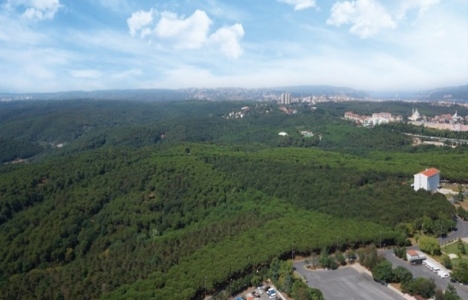 Fatih Ormanı'nda yapılaşmaya ilişkin 4 sorun mecliste!