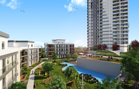 Tual Adalar Kartal görselleri!