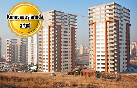 Konut sektöründe büyüme