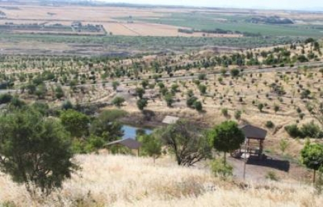 Diyarbakır Kent Ormanı yürütme kurulu