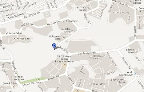 Zin D Natura resimleri!