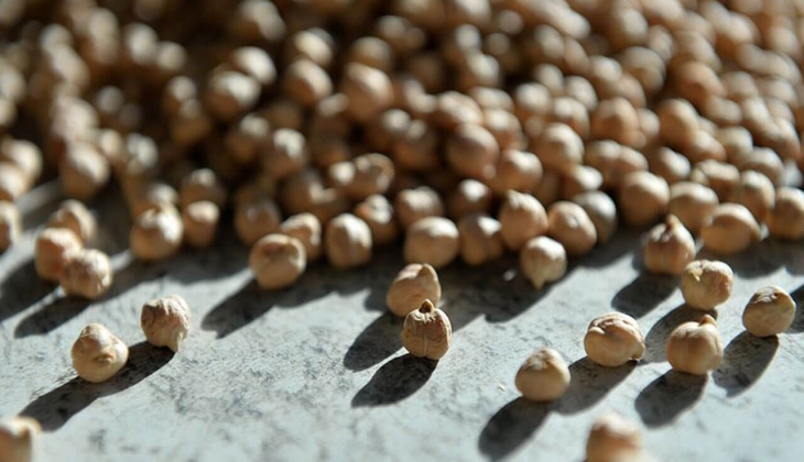 Nohut fiyatlarına indirim mi geliyor? Nohut fiyatlarını düşürecek adım! Rekolte beklentisi arttı! İşte detaylar!