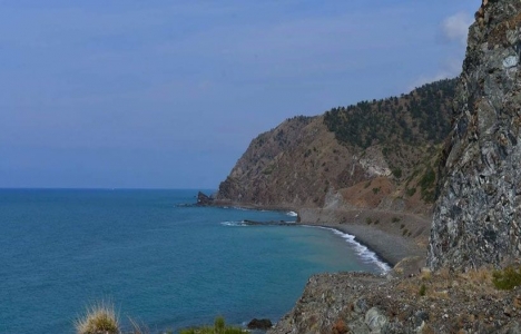Hatay Güney Akdeniz Entegre Termik Santrali'ne ÇED olumlu raporu!