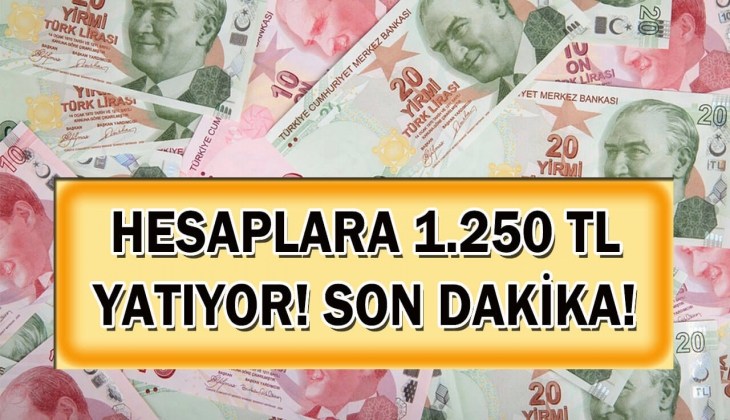 Aile Destek Programı ödemelerinde Mart ayı müjdesi geldi! Hesaplara tek tek yatırılan 1.250 lirayı mutlaka alın!