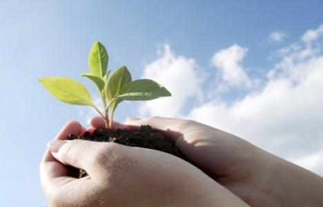 Üniversiteli gençler 'çevre' için yarışacak!