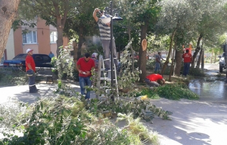 Karesi'nin çehresi yaz projeleriyle değişiyor!