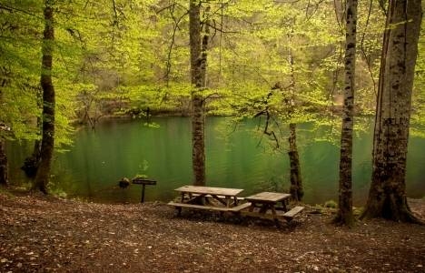 Yedigöller Milli Parkı'nı 100 bin kişi ziyaret edecek!