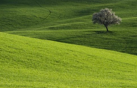 2b arazilerin satışında rayiç bedel ne kadar?