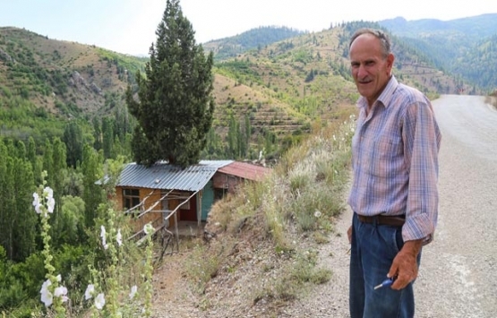 Konya’da bir vatandaş ardıç gövdesinin etrafına ev yaptı!