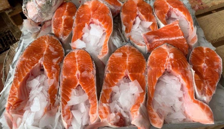 Doğu Akdeniz’den rekor somon ihracatı!