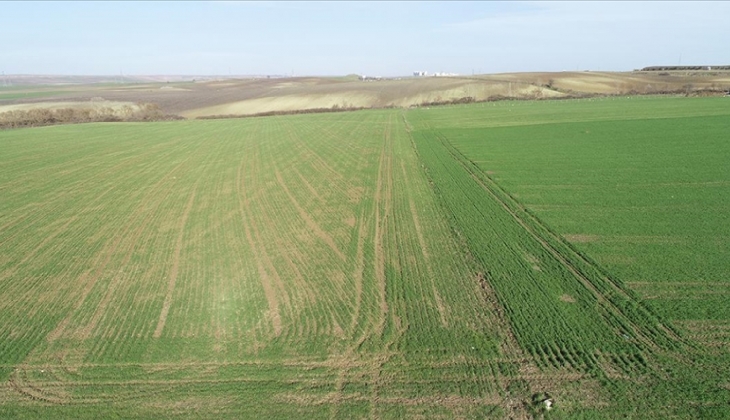 Yatırım tavsiyesinde bulunan uzmanlar, gayrimenkulde arsa ve tarlayı işaret etti!